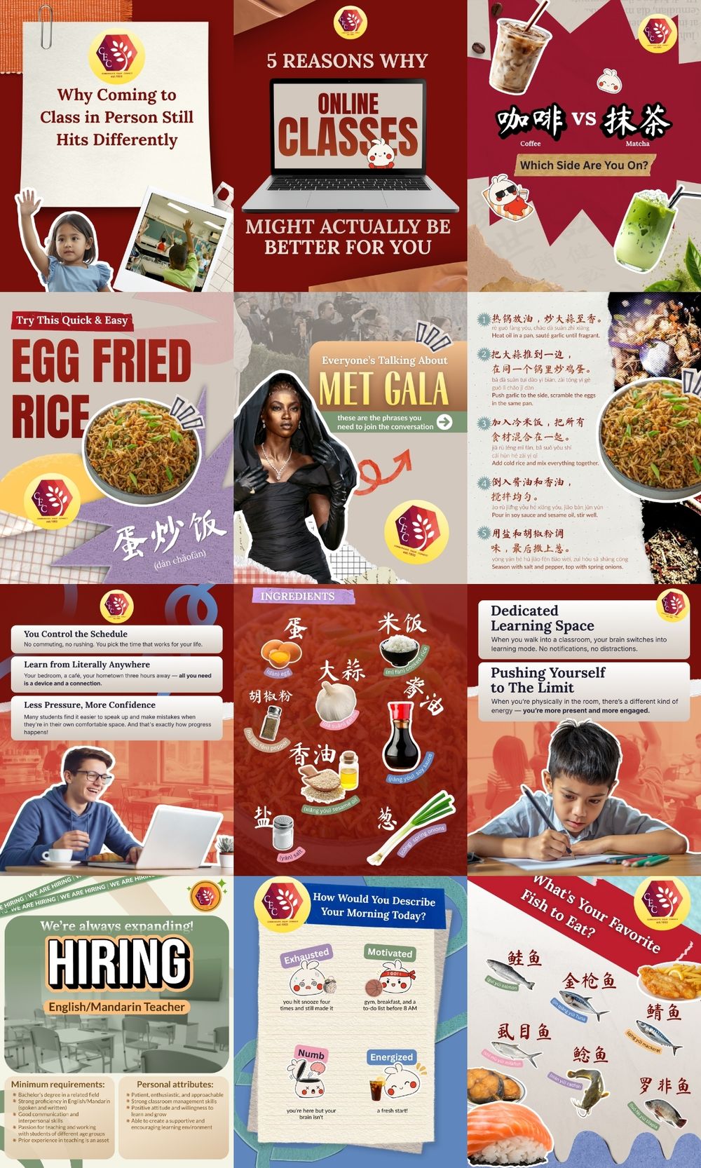 CEC Instagram grid